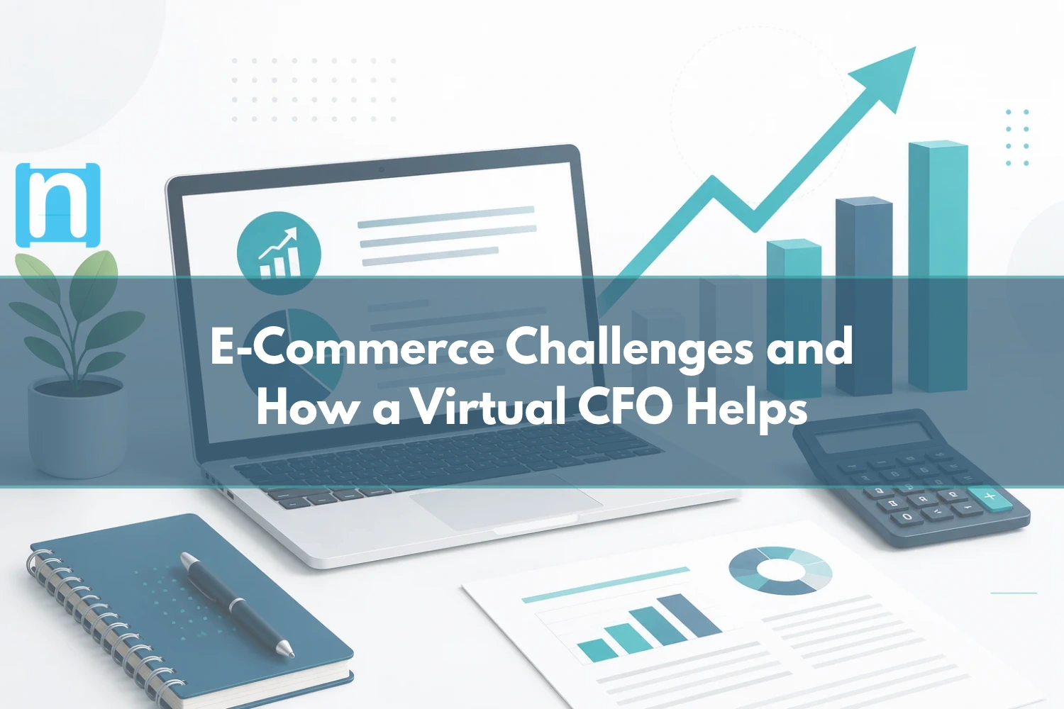 E-Commerce Challenges and How a Virtual CFO Helps